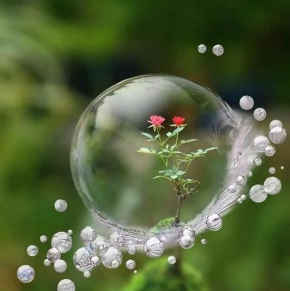 Meet your Posher, Raj - Picture 1 of 1